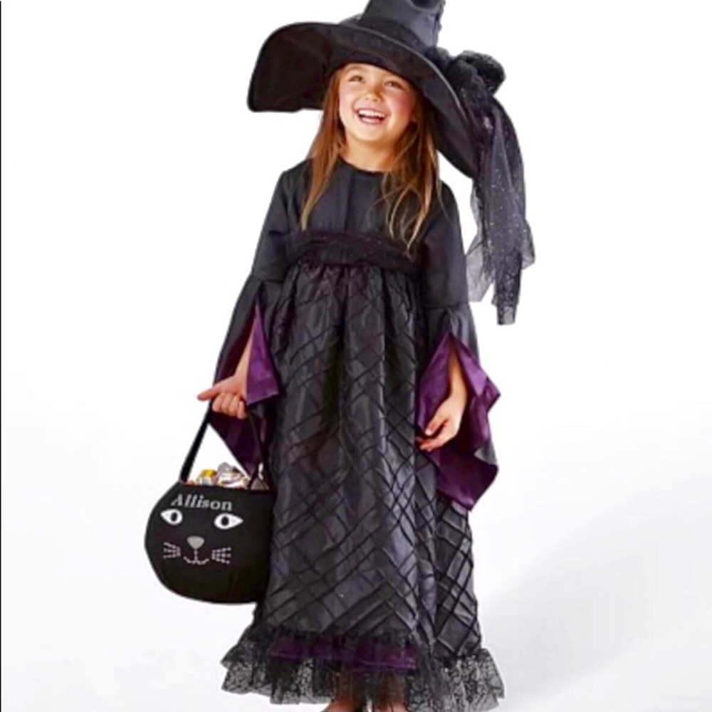 Pottery Barn 3t witch Halloween costume